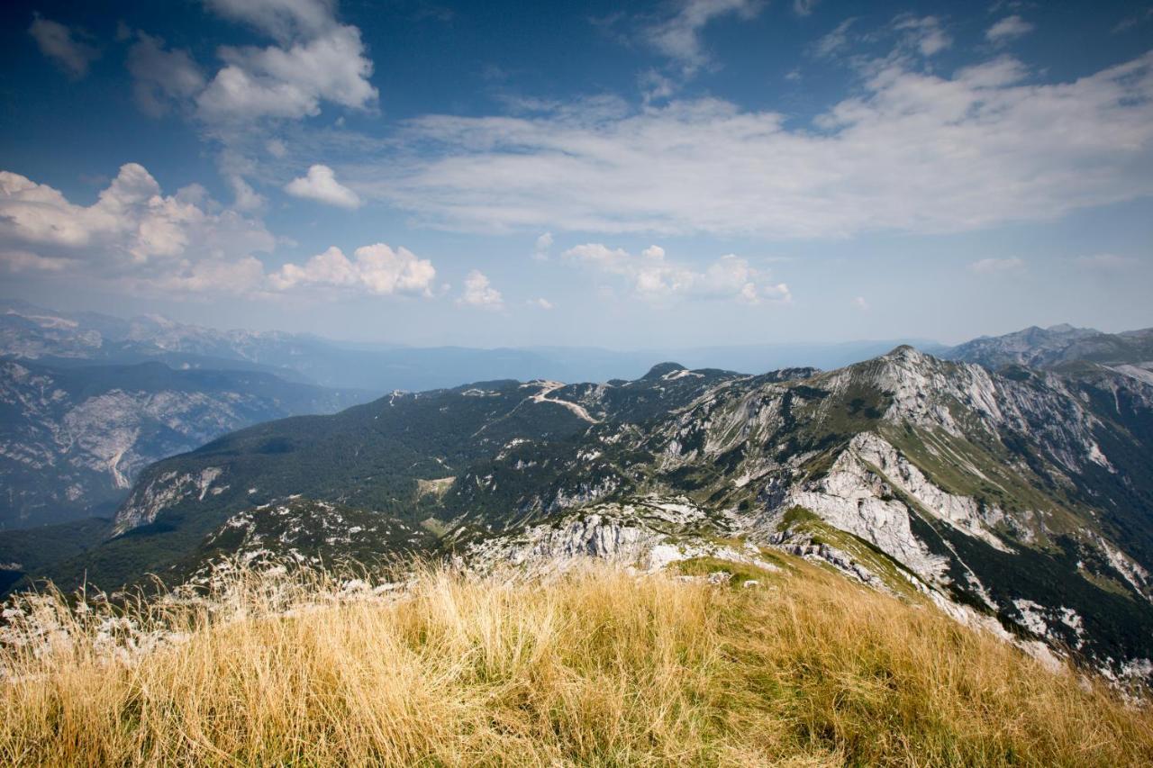 Chalet Pr Dobravc Bohinj Buitenkant foto
