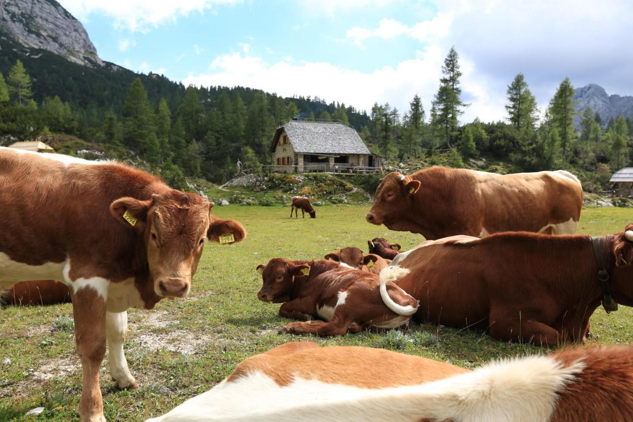 Chalet Pr Dobravc Bohinj Buitenkant foto
